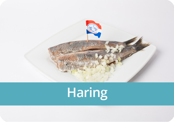 Hollandse haring bij Van Oosten in Delft