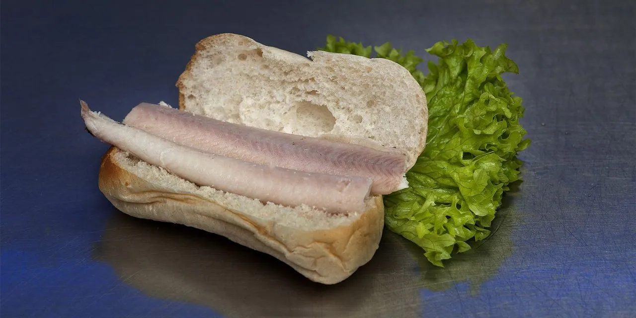 Broodje paling op donker staal