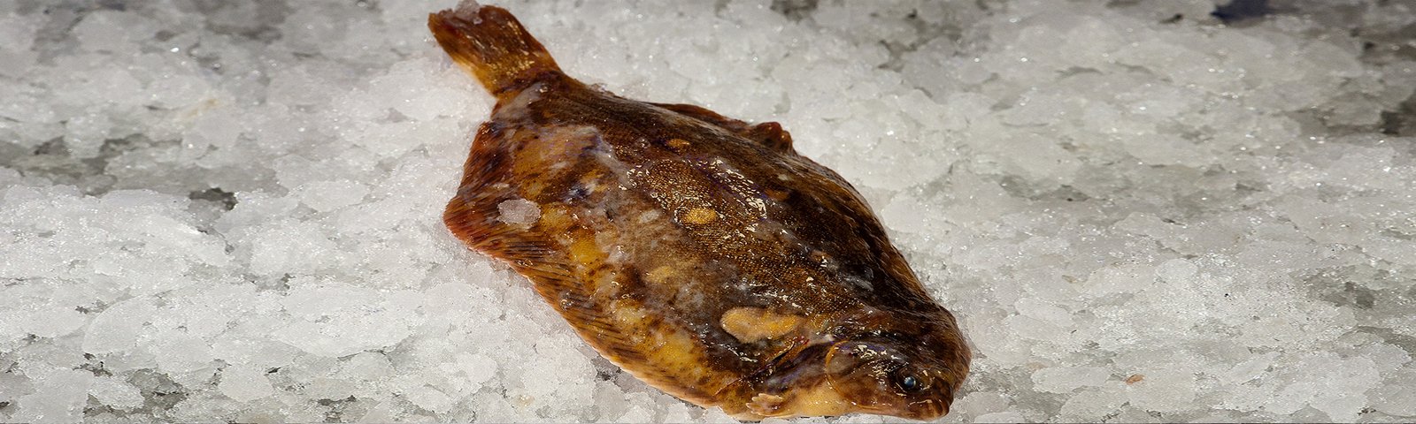 Tongschar